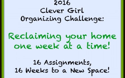 2016 Clever Girl Organizing Challenge: All 16 Weeks, Wrapped Up!
