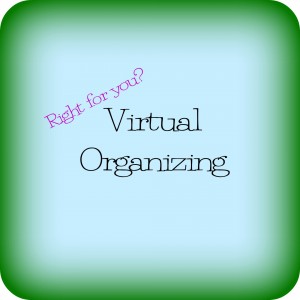 Virtual Organizing
