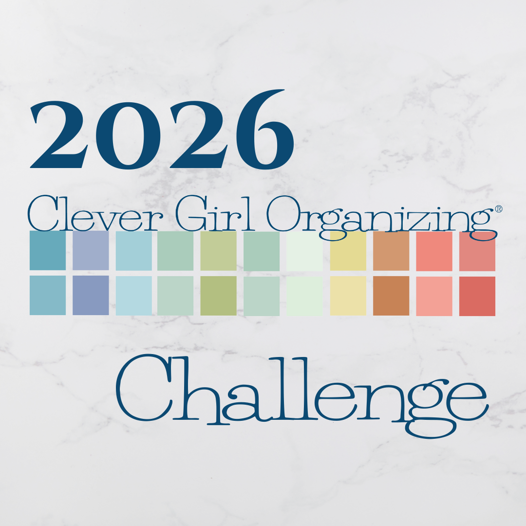 2026 Clever Girl Organizing Challenge Plus: 2 hours of Private Coaching